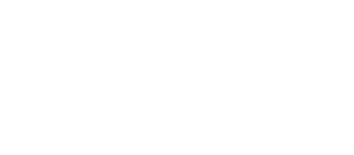 logo ondiss versiones 04 v2